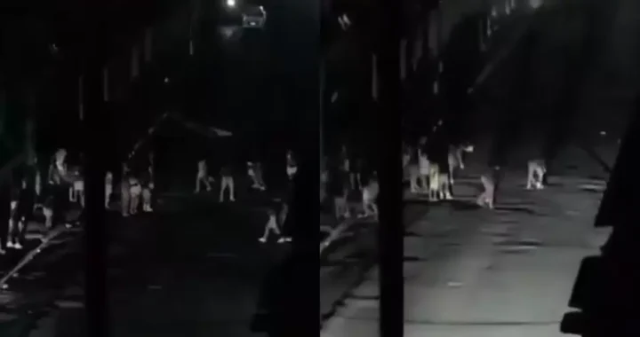 ¡“CUANDO NO HAY LUZ, SUENA LA OLLA”! UNA NOCHE DE CACEROLAZOS SACUDE A CUBA TRAS UN APAGÓN MASIVO