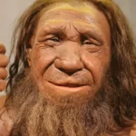 ¡“NO ERA SOLO UN PAR DE AVENTURAS: FUE UN ROMANCE CRUZADO Y CON BIAS DE GÉNERO”! NUEVO ESTUDIO REVELA CÓMO ERA EL SEXO ENTRE NEANDERTALES Y SAPIENS